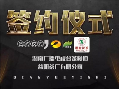 湘益茯，美茗揚 丨湘益茯茶與茶頻道達成長期戰(zhàn)略合作